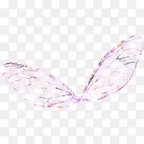 紫色漂亮翅膀-空若网 紫色漂亮翅膀-空若网