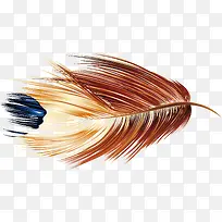 手绘精美羽毛修饰-空若网 手绘精美羽毛修饰-空若网