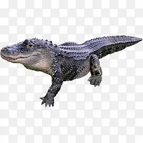 ������Ӱ���͵�����-������