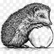 �ֻ�������-������