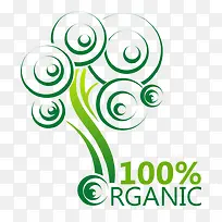 ʸ�� ��ͨ ��ɫ��-������