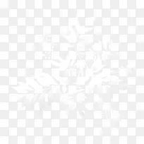 Ư����ɫ֦Ҷ-������