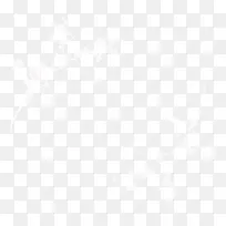 ��ɫƯ��֦Ҷ-������