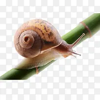 һ�����ţ-������