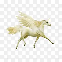 ��ɫ����-������