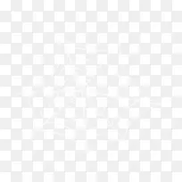 漂亮白色蜘蛛网-空若网 漂亮白色蜘蛛网-空若网