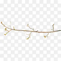 棕色花枝-空若网 棕色花枝-空若网