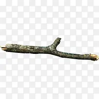 树枝-空若网 树枝-空若网