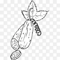 矢量手绘蔬菜-空若网 矢量手绘蔬菜-空若网