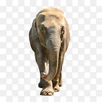 Ұ�������������-������