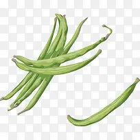 豆角装饰设计矢量-空若网 豆角装饰设计矢量-空若网