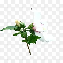 ��ɫ�ٺϻ�-������