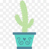 仙人掌-空若网 仙人掌-空若网