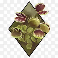 ʸÁ¿ÂÌɫˮ²ÊÊֻ沶Ӭ²Ý-¿ÕÈôÍø ʸÁ¿ÂÌɫˮ²ÊÊֻ沶Ӭ²Ý-¿ÕÈôÍø