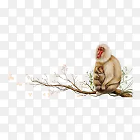坐在树枝上的猴子母子-空若网 坐在树枝上的猴子母子-空若网