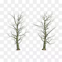 树枝-树干-共享-空若网 树枝-树干-共享-空若网