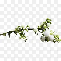 ����ʸ���ز��ʻ�����-������