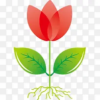 小花素材图片-空若网 小花素材图片-空若网