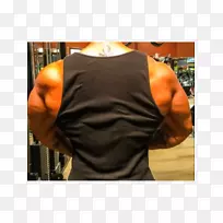 ����T����������������⽡��-������