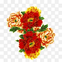 瑰丽牡丹金丝牡丹-空若网 瑰丽牡丹金丝牡丹-空若网