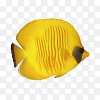 矢量热带鱼-空若网 矢量热带鱼-空若网