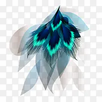 彩色的羽毛-空若网 彩色的羽毛-空若网