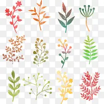矢量水彩效果植物叶子-空若网 矢量水彩效果植物叶子-空若网