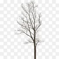 û��Ҷ�ӵĴ���-������