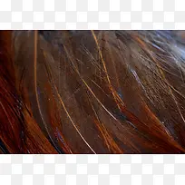 ÄñÀàÓðë±³¾°ÎÆÀí-¿ÕÈôÍø ÄñÀàÓðë±³¾°ÎÆÀí-¿ÕÈôÍø