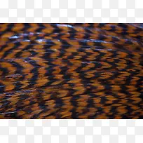 ��ë��������-������