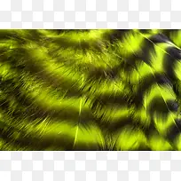 ��ɫ��ë����-������