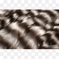 羽毛背景纹理-空若网 羽毛背景纹理-空若网