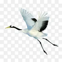 �ſ����������-������