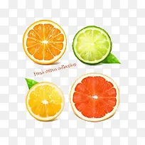 卡通手绘切开的鲜橙-空若网 卡通手绘切开的鲜橙-空若网