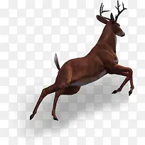 ʥ������¹-������