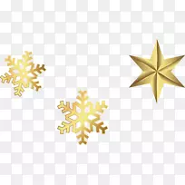 雪花计算机文件-金色雪花星-空若网 雪花计算机文件-金色雪花星-空若网