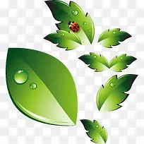 树叶png矢量素材-空若网 树叶png矢量素材-空若网