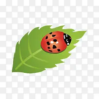 绿叶和七星瓢虫-空若网 绿叶和七星瓢虫-空若网