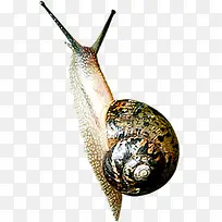 ������Ӱ�������е���ţ-������