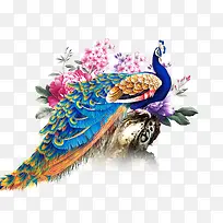 �й����ȸ-������