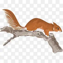 树枝上的矢量松鼠-空若网 树枝上的矢量松鼠-空若网