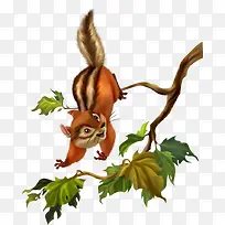 ��֦�ϵ�����-������