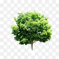 Ψ�����»�����-������