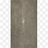 豹纹密集地板创意-空若网 豹纹密集地板创意-空若网