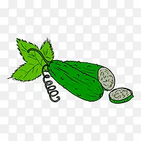 绿色的苦瓜-空若网 绿色的苦瓜-空若网