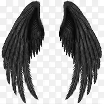 һ�Գ��-������