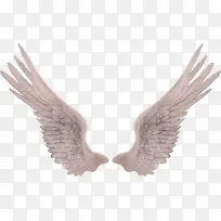 һ�԰�ɫ��ʹ���-������