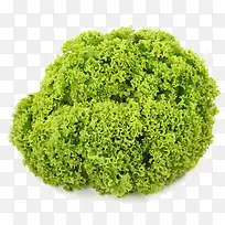 ɺ������ʵ����Ӱ-������