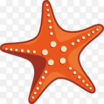 精美海星动物设计-空若网 精美海星动物设计-空若网