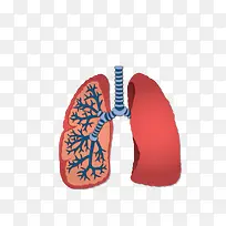 ��ͨ�ֻ�β�-������